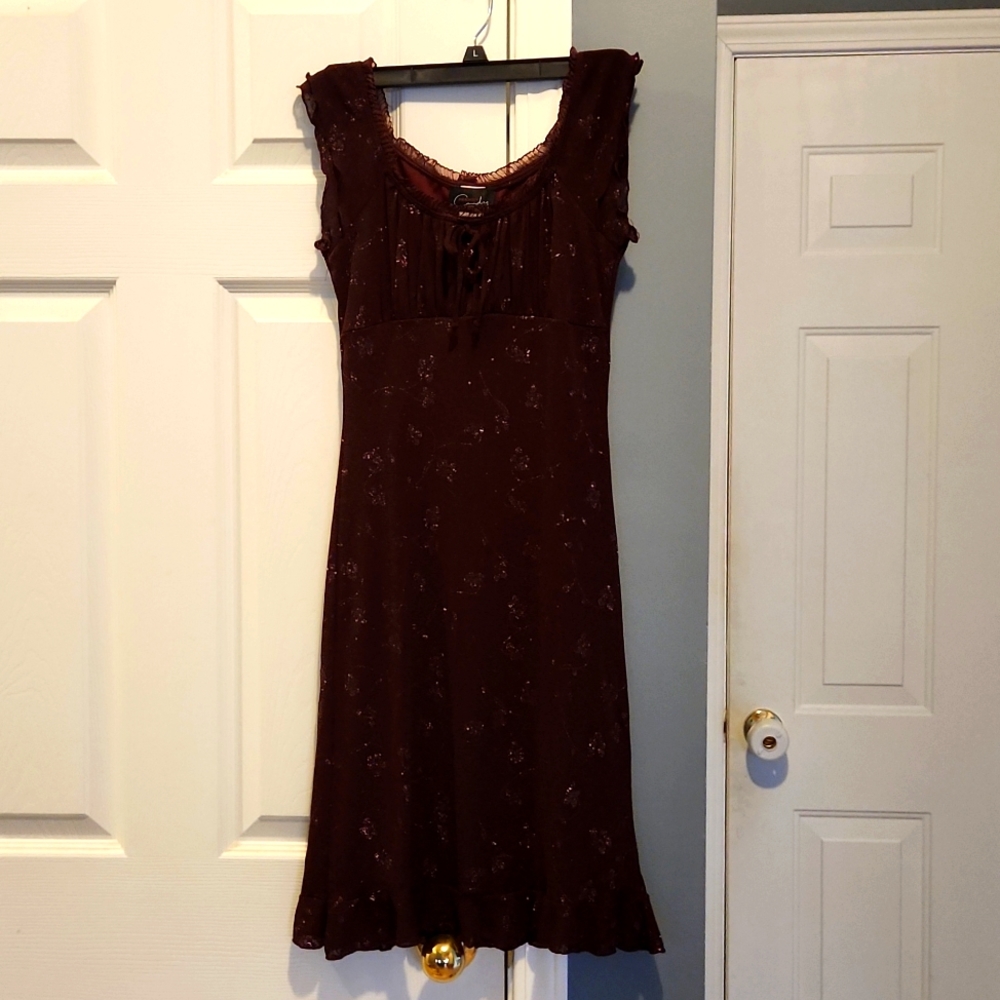 Maroon glitter dress